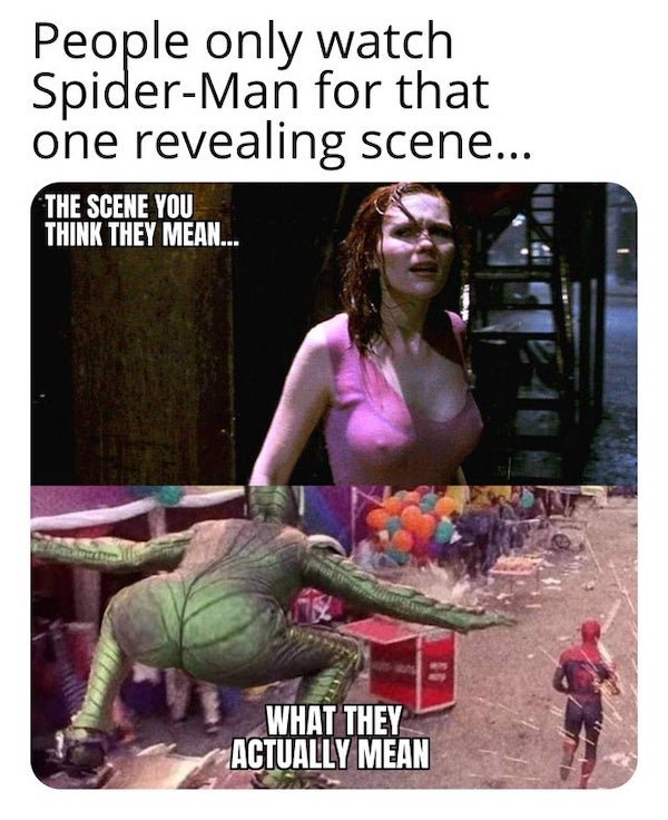 photo caption - People only watch SpiderMan for that one revealing scene... The Scene You Think They Mean... What They Actually Mean