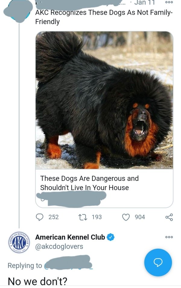 tibetan mastiff fluffiest dog in the world - 000 Jan 11 Akc Recognizes These Dogs As Not Family Friendly These Dogs Are Dangerous and Shouldn't Live In Your House 252 22 193 904 Kinn Skerican 000 American Kennel Club Code No we don't?