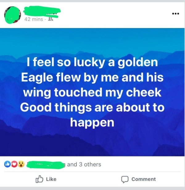 online advertising - ... 42 mins. 25 I feel so lucky a golden Eagle flew by me and his wing touched my cheek Good things are about to happen y and 3 others Comment