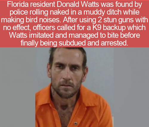 cool facts - Florida resident Donald Watts was found by police rolling naked in a muddy ditch while making bird noises. After using 2 stun guns with no effect, officers called for a K9 backup which Watts imitated and managed to bite before finally be