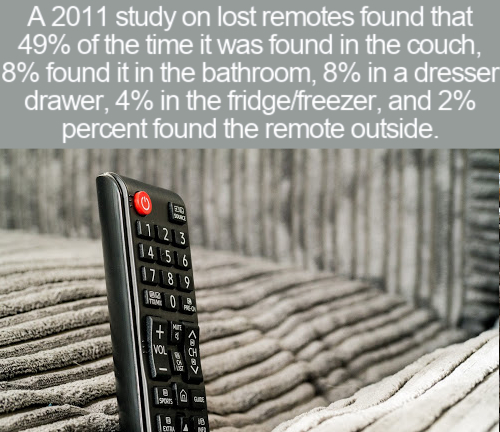 cool facts - A 2011 study on lost remotes found that 49% of the time it was found in the couch, 8% found it in the bathroom, 8% in a dresser drawer, 4% in the fridge/freezer, and 2% percent found the remote outside.