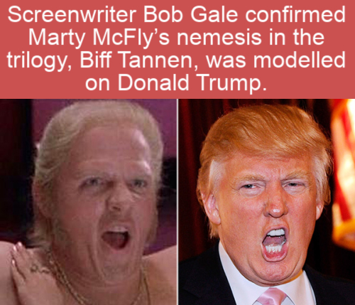 cool facts - Screenwriter Bob Gale confirmed Marty McFly's nemesis in the trilogy, Biff Tannen, was modeled on Donald Trump.
