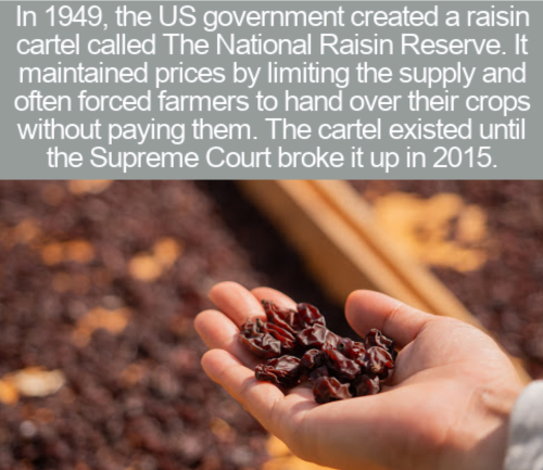 cool facts - In 1949, the Us government created a raisin cartel called The National Raisin Reserve. It maintained prices by limiting the supply and often forced farmers to hand over their crops without paying them. The cartel existed until the Supreme Cou