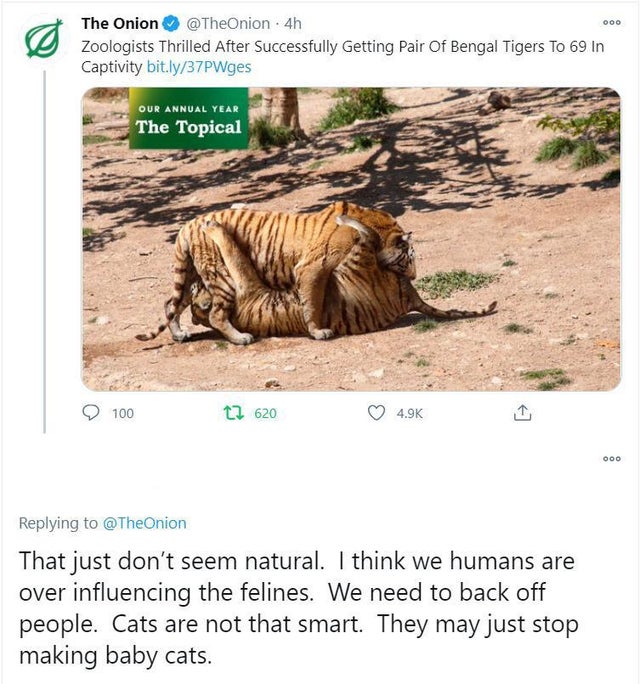 bengal tigers 69 - 000 The Onion 4h Zoologists Thrilled After Successfully Getting Pair Of Bengal Tigers To 69 In Captivity bit.ly37PWges Our Annual Year The Topical 100 12 620 Ooo That just don't seem natural. I think we humans are over influencing the f