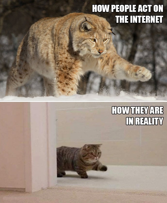 cat walking meme template - How People Act On The Internet How They Are In Reality