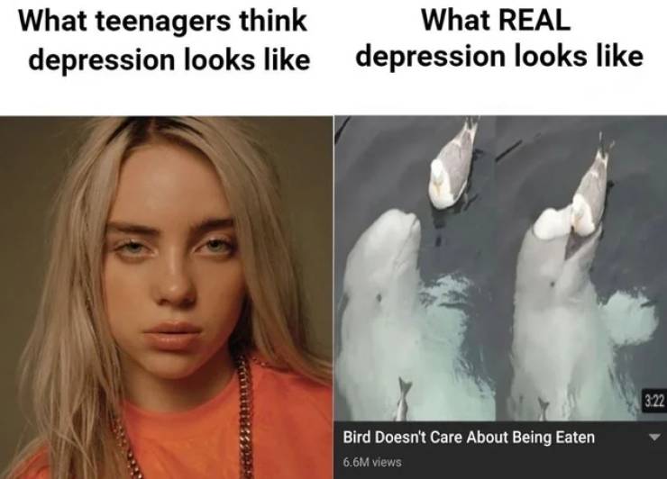 real depression meme - What teenagers think depression looks What Real depression looks Bird Doesn't Care About Being Eaten 6.6M views