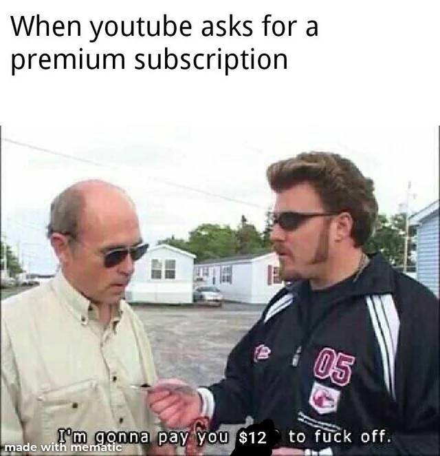 summer internship meme - When youtube asks for a premium subscription Ie 05 I'm gonna pay you $12 to fuck off. made with mematic