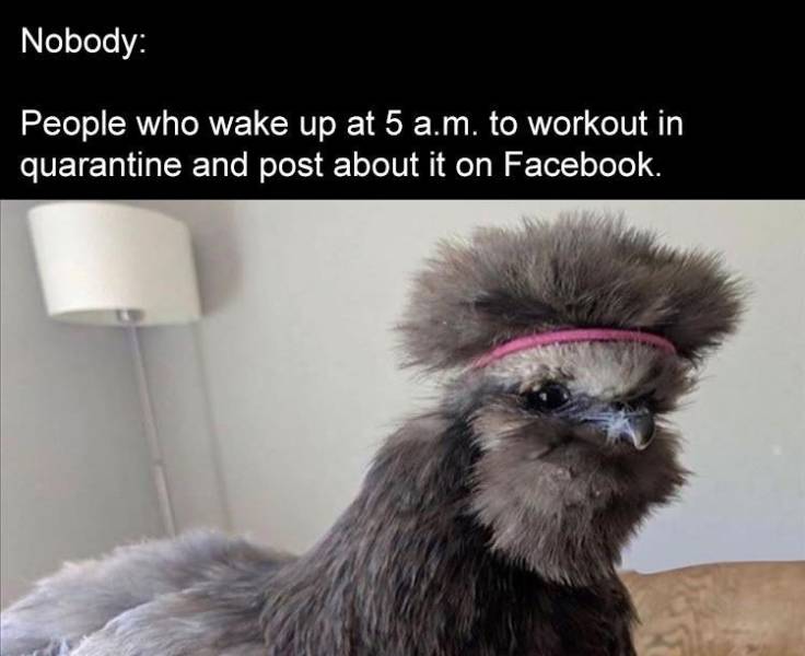foot locker employee meme - Nobody People who wake up at 5 a.m. to workout in quarantine and post about it on Facebook.