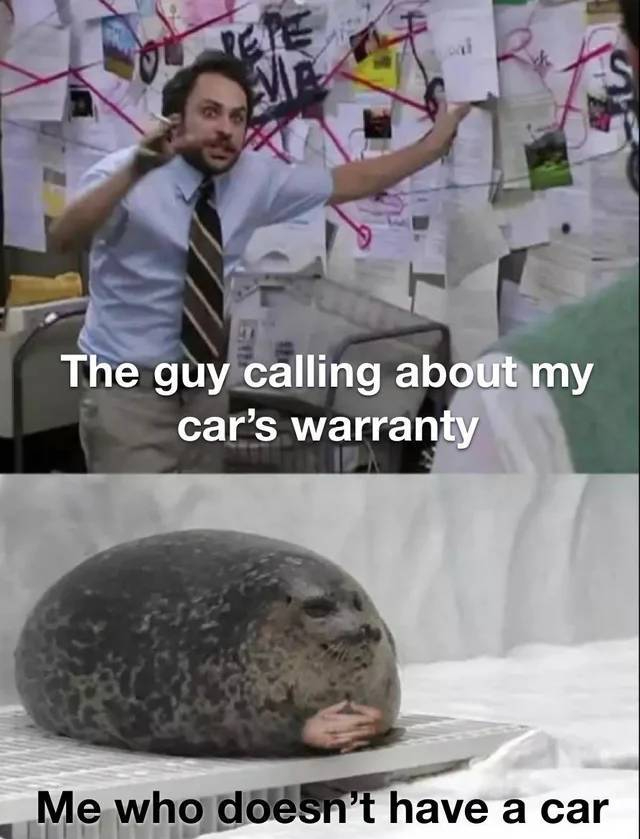 explaining to seal meme template - The guy calling about my car's warranty Me who doesn't have a car