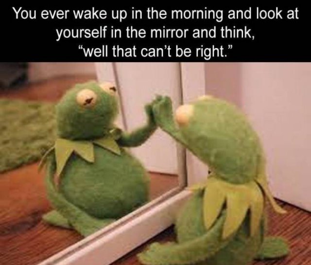 kermit reaction - You ever wake up in the morning and look at yourself in the mirror and think, well that can't be right."
