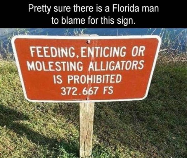 street sign - Pretty sure there is a Florida man to blame for this sign. Feeding, Enticing Or Molesting Alligators Is Prohibited 372.667 Fs