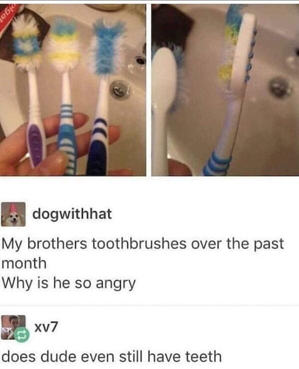 my brothers toothbrush why is he so angry - ebe dogwithhat My brothers toothbrushes over the past month Why is he so angry xv7 does dude even still have teeth
