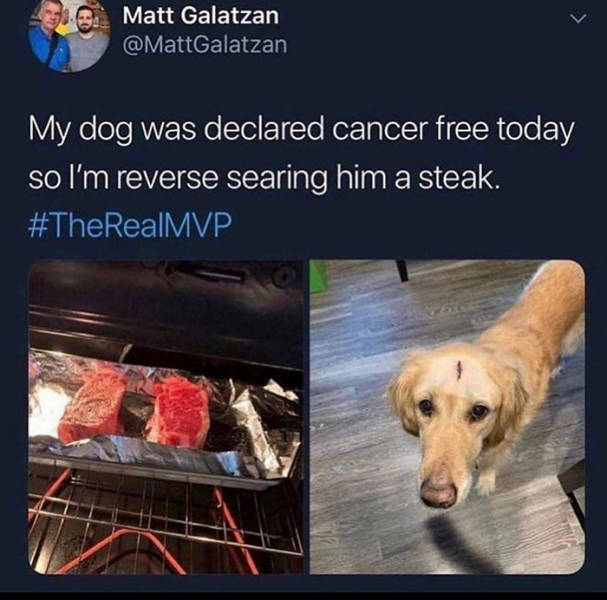 cancer free dog steak - Matt Galatzan My dog was declared cancer free today so I'm reverse searing him a steak.