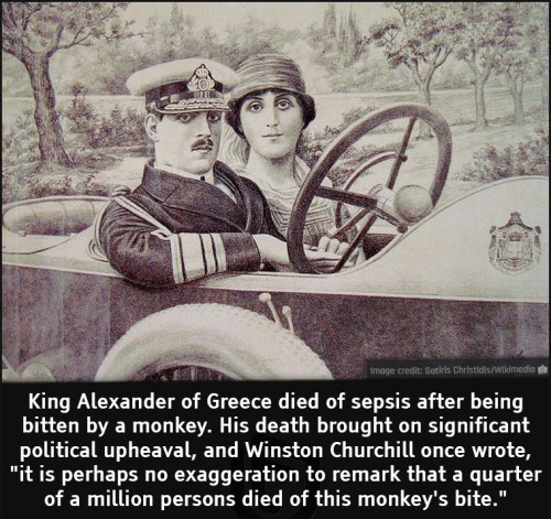 cool facts - King Alexander of Greece died of sepsis after being bitten by a monkey. His death brought on significant political upheaval, and Winston Churchill once wrote,