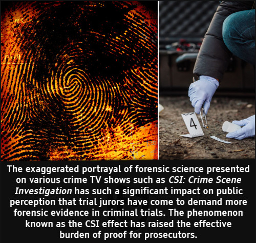 cool facts - The exaggerated portrayal of forensic science presented on various crime Tv shows such as Csi Crime Scene Investigation has such a significant impact on public perception that trial jurors have come to demand more forensic evidence in crimina