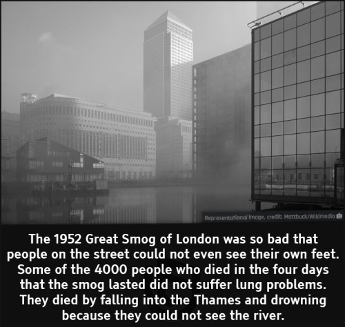 cool facts - The 1952 Great Smog of London was so bad that people on the street could not even see their own feet. Some of the 4000 people who died in the four days that the smog lasted did not suffer