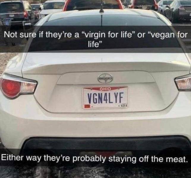 Shitposting - Not sure if they're a virgin for life" or "vegan for life" Ohio VGN4LYF Either way they're probably staying off the meat.