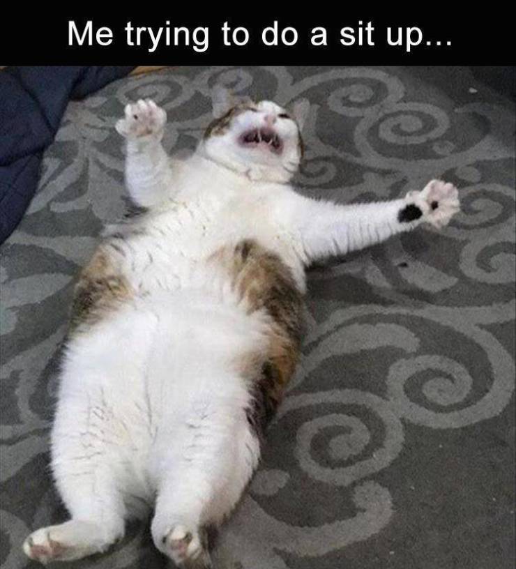 funny 18+ memes - Me trying to do a sit up... ce 200