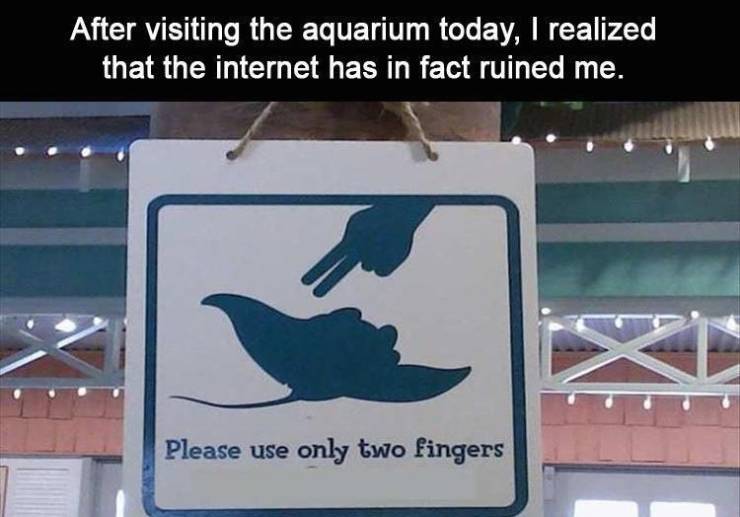 sign - After visiting the aquarium today, I realized that the internet has in fact ruined me. Please use only two fingers