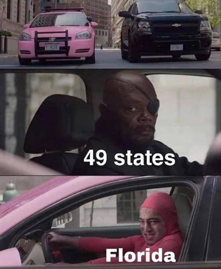 nick fury pink guy meme template - 49 states Florida