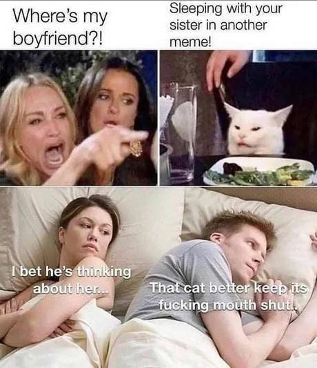 where's my boyfriend meme - Where's my boyfriend?! Sleeping with your sister in another meme! I bet he's thinking about her... That cat better keep its fucking mouth shut