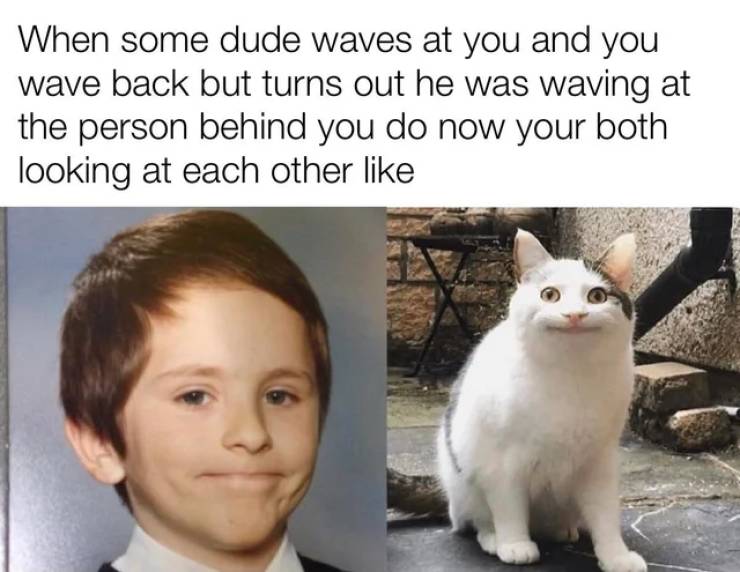 cat saying hi meme - When some dude waves at you and you wave back but turns out he was waving at the person behind you do now your both looking at each other