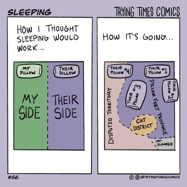 material - Sleeping Trying Times Comics How I Thought Sleeping Would Work... How It'S Going... Their My Pillow Their Their Pillow Pillow 41 Pillow 1 Pillow Their Their Pillow My Their Side Side Disputed Territory Pillow Fort Province Cat District Un Claim