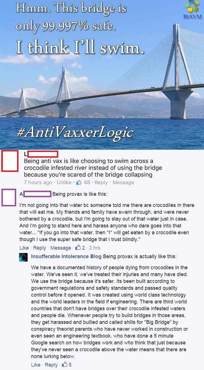 anti vaxxer logic - Ruavm Hmm. This bridge is only 99.997% safe. I think I'll swim. Being anti vax is choosing to swim across a crocodile infested river instead of using the bridge because you're scared of the bridge collapsing 7 hours ago Un. 48. Message