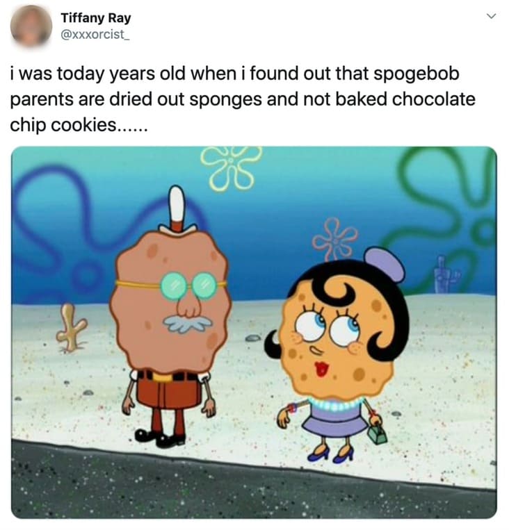 cool fun facts - i was today years old when i found out that spogebob parents are dried out sponges and not baked chocolate chip cookies......