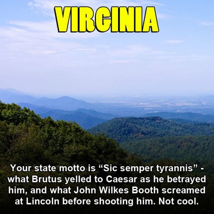 state memes us - Virginia Your state motto is Sic semper tyrannis. what Brutus yelled to Caesar as he betrayed him, and what John Wilkes Booth screamed at Lincoln before shooting him. Not cool.