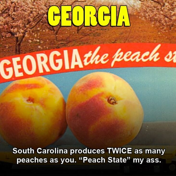 peach state memes - GEORGIAthe peach sa Georgia South Carolina produces Twice as many peaches as you. "Peach State" my ass.