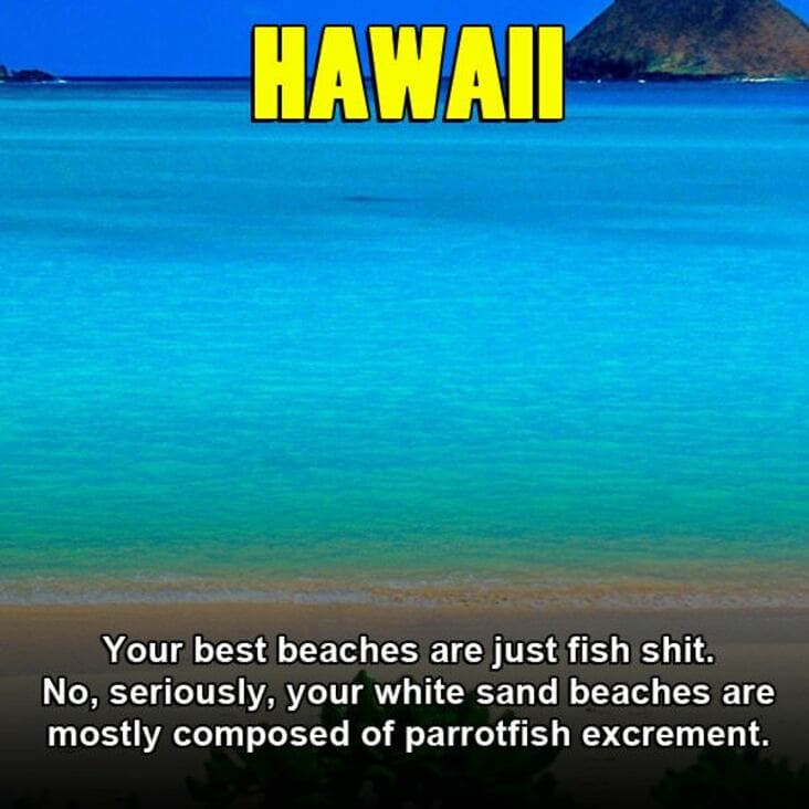 water resources - Hawaii Your best beaches are just fish shit. No, seriously, your white sand beaches are mostly composed of parrotfish excrement.