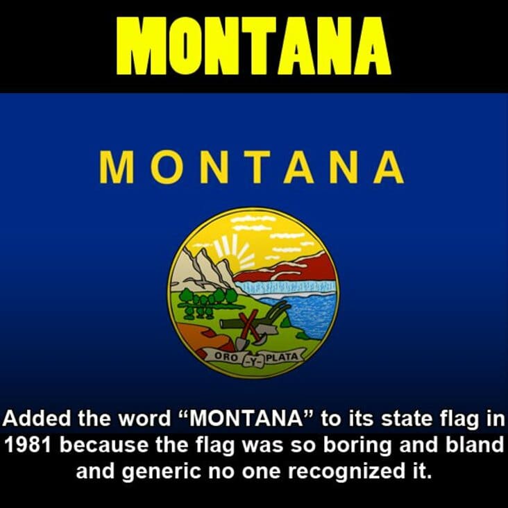 world - Montana Oro Cyplata Added the word Montana to its state flag in 1981 because the flag was so boring and bland and generic no one recognized it.