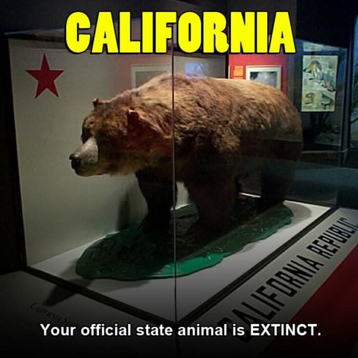 california extinct animals - California Your official state animal is Extinct. Alifornia Republic