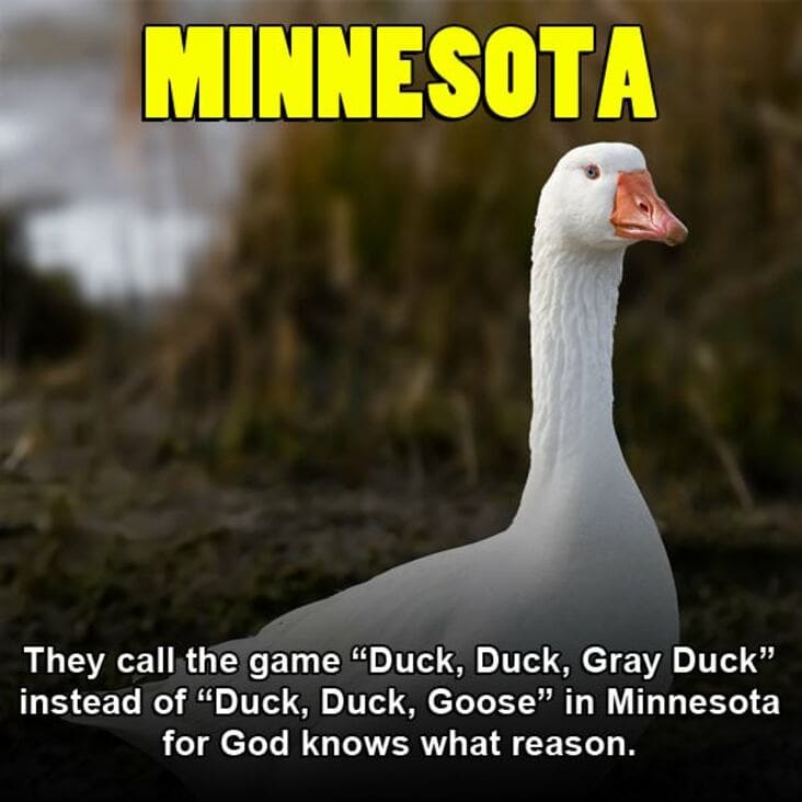 minnesota sucks - Minnesota They call the game "Duck, Duck, Gray Duck" instead of "Duck, Duck, Goose" in Minnesota for God knows what reason.