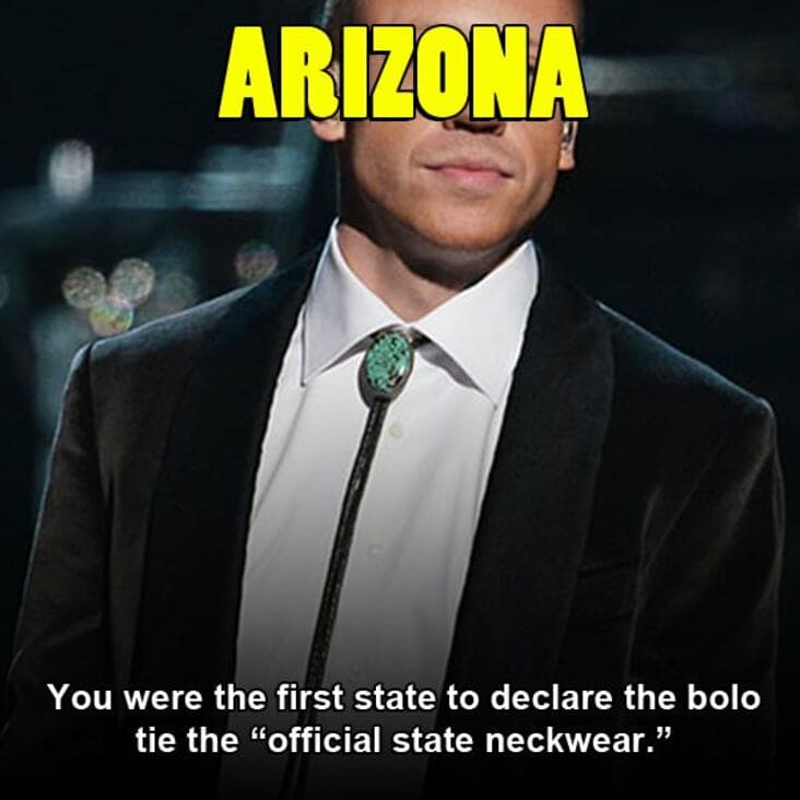 U.S. state - Arizona You were the first state to declare the bolo tie the "official state neckwear."