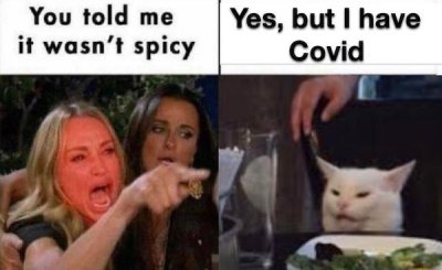 woman yelling at cat meme king - You told me it wasn't spicy Yes, but I have Covid