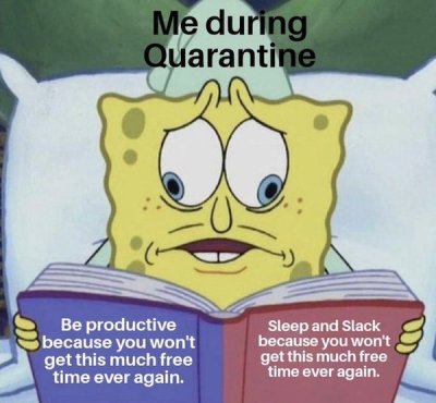 genderfluid memes - Me during Quarantine Be productive because you won't get this much free time ever again. Sleep and Slack because you won't get this much free time ever again.