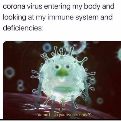 funny coronavirus - corona virus entering my body and looking at my immune system and deficiencies 3 damn bitch you live this?"