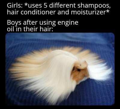 funny dank memes - Girls uses 5 different shampoos, hair conditioner and moisturizer Boys after using engine oil in their hair