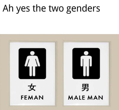 funny dank memes - bad toilet signs - Ah yes the two genders Feman Male Man