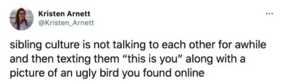 paper - . Kristen Arnett Arnett sibling culture is not talking to each other for awhile and then texting them "this is you" along with a picture of an ugly bird you found online