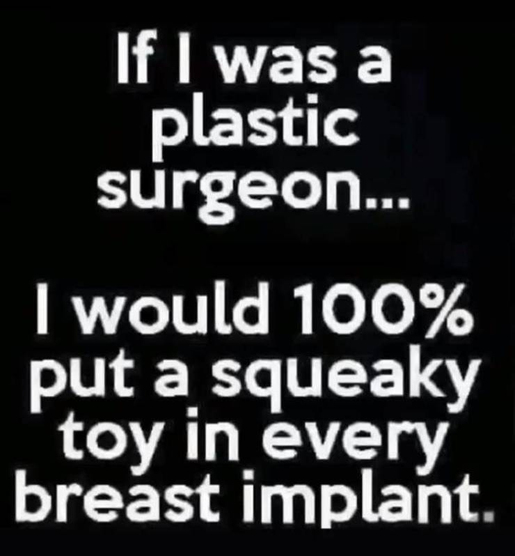monochrome - If I was a plastic surgeon... I would 100% put a squeaky toy in every breast implant.
