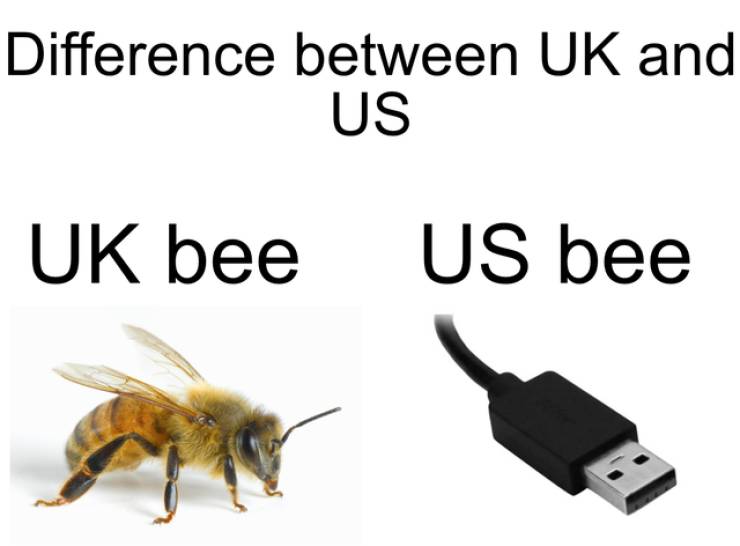 Difference between Uk and Us Uk bee Us bee