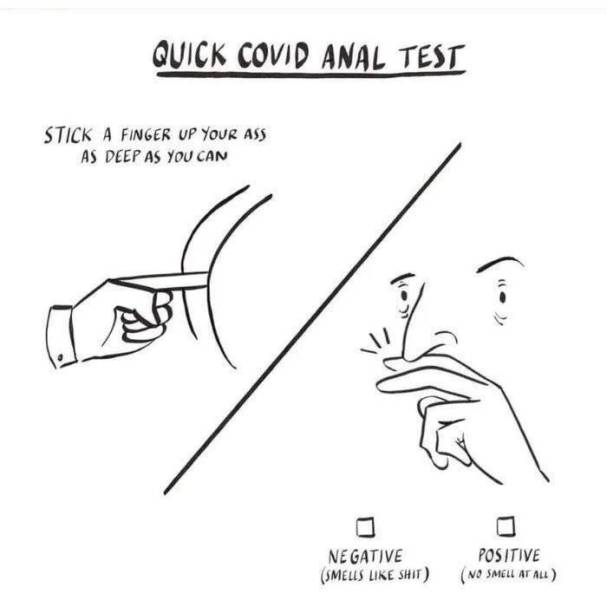 diagram - Quick Covid Anal Test Stick A Finger Up Your Ass As Deep As You Can Negative Positive Smells Shit No Smell At All