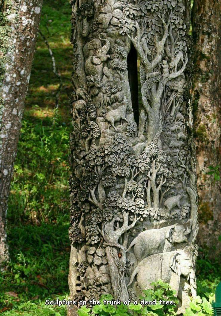 Carving - Sculpture on the trunk of a dead tree.