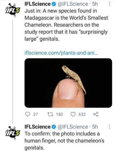 hand - Go Ifl Science Science 5h Iels Just in A new species found in Madagascar is the World's Smallest Chameleon. Researchers on the study report that it has "surprisingly large" genitals. iflscience.complantsandani... 27 12 180 632 Ifl Science . 5h Liel