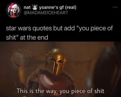 photo caption - nat ysanne's gf real star wars quotes but add "you piece of shit" at the end This is the way, you piece of shit
