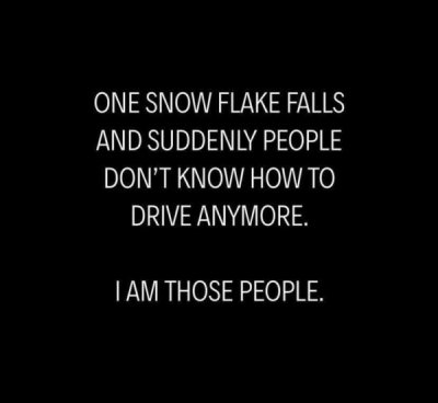 say my name lyrics - One Snow Flake Falls And Suddenly People Don'T Know How To Drive Anymore. Tam Those People.