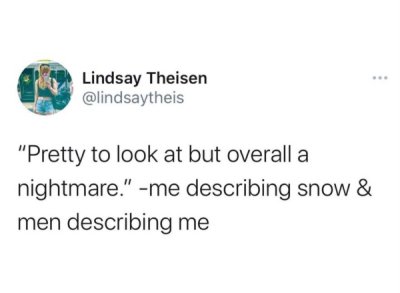 shower thoughts memes - Lindsay Theisen "Pretty to look at but overall a nightmare." me describing snow & men describing me